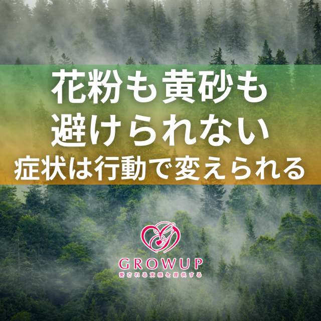 2026年花粉症+黄砂対策決定版｜4層防御で症状を劇的に軽減する実践ガイド
